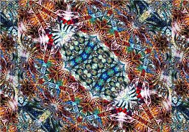 任天堂重拳出击！Switch 2使用盗版烧录卡将遭主机封禁